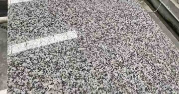 廊坊 芙蓉白光面