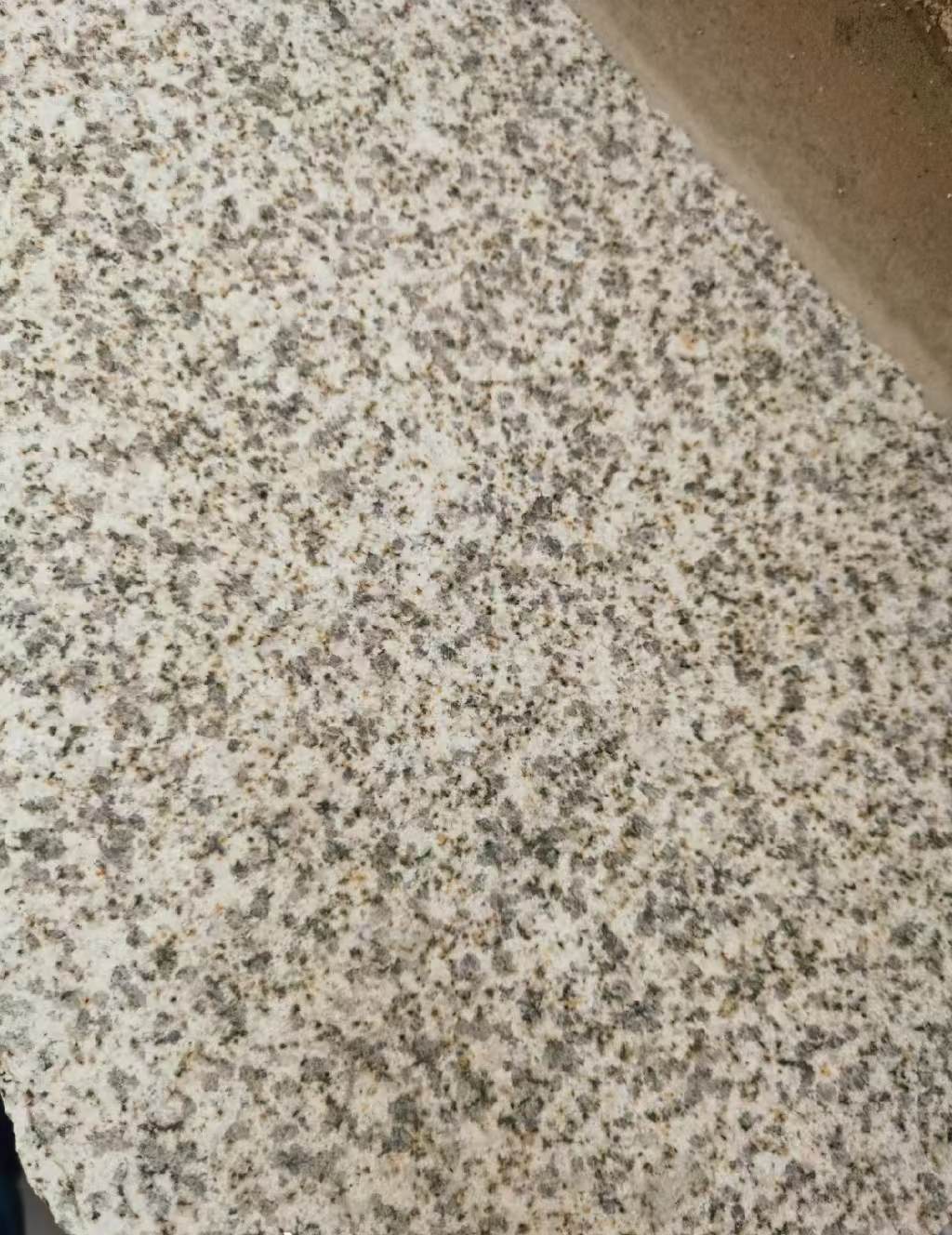 廊坊 黄金麻中黄光面