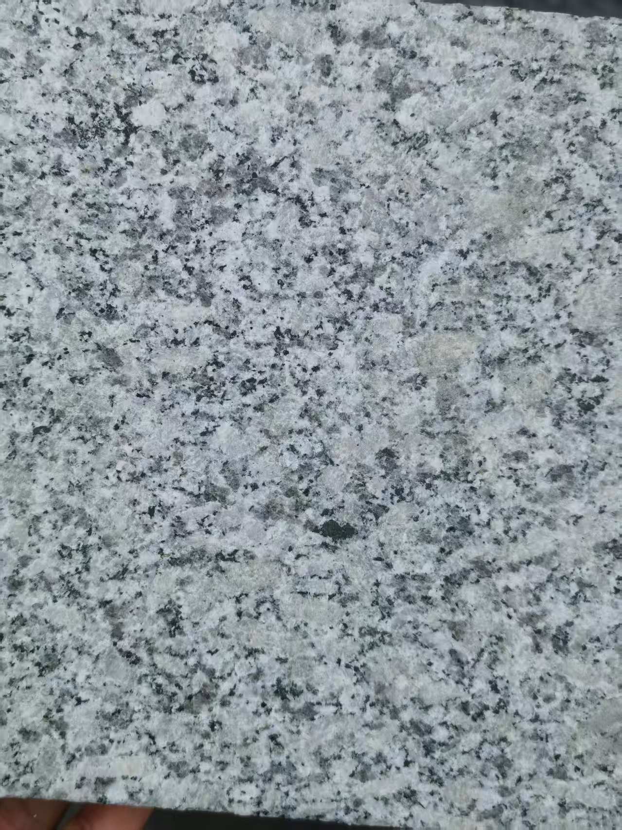 廊坊 芙蓉白火烧面